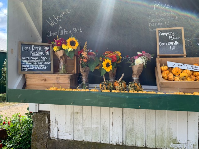 flowers at the farm stand