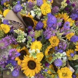 August Starting-5 Week Local Flower CSA Share